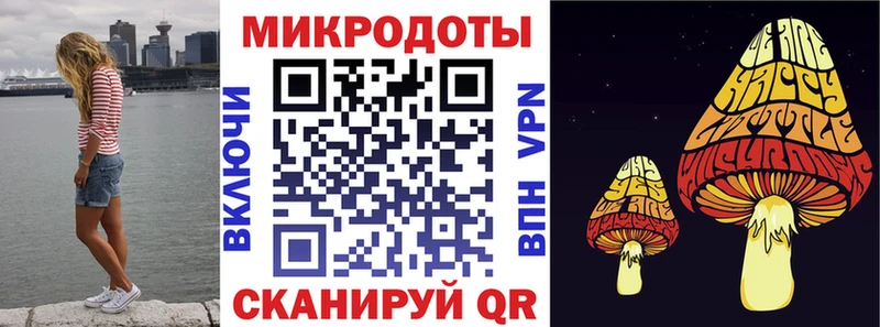 Псилоцибиновые грибы Cubensis Сосенский